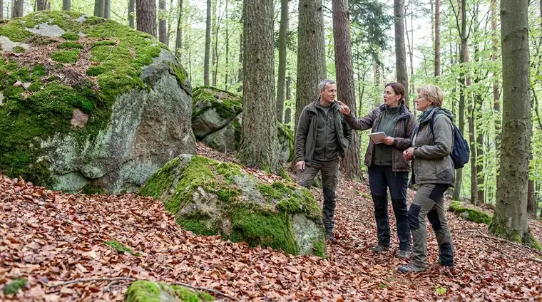 Rumska przyroda: Głazy i daglezja zielona
